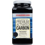 Best Filters for Saltwater Aquariums
