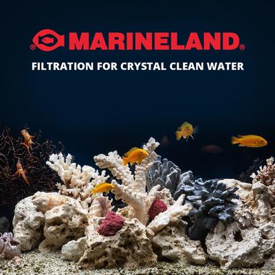 Show full view: Marineland Black Diamond Activated Carbon Filter Media, 5-oz jar slide 3 of 5