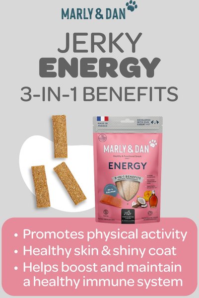 Marly & Dan Healthy & Functional Salmon Jerky Treats for Dogs, Energy & Antioxidant Recipe, 6oz bag