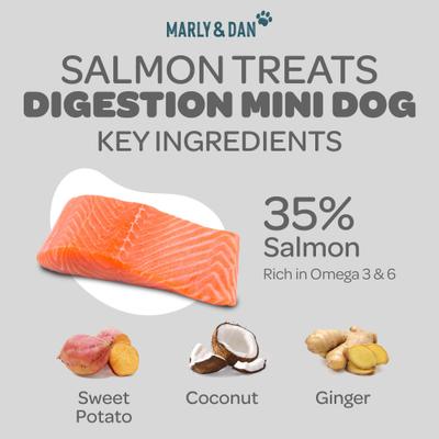Show full view: Marly & Dan Salmon Dog Treats for Small & Mini Dogs with Sweet Potato & Ginger, Tummy & Digestion Recipe, 3.5-oz bag slide 5 of 7