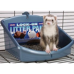 Marshall Ferret Litter Pan, Color Varies, Lock On