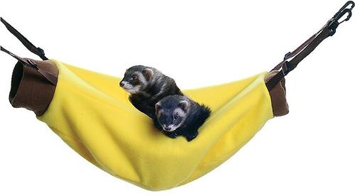 Show full view: Marshall Hanging Ferret Hammock, Banana slide 4 of 6