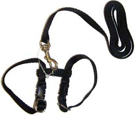 Show full view: Marshall Harness & Lead Ferret Leash, Black slide 2 of 5