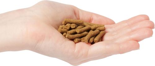 Show full view: Marshall Premium Ferret Food, 22-oz bag slide 3 of 9