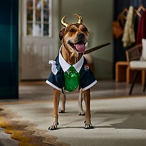 Marvel 's Loki President Dog & Cat Costume, Small