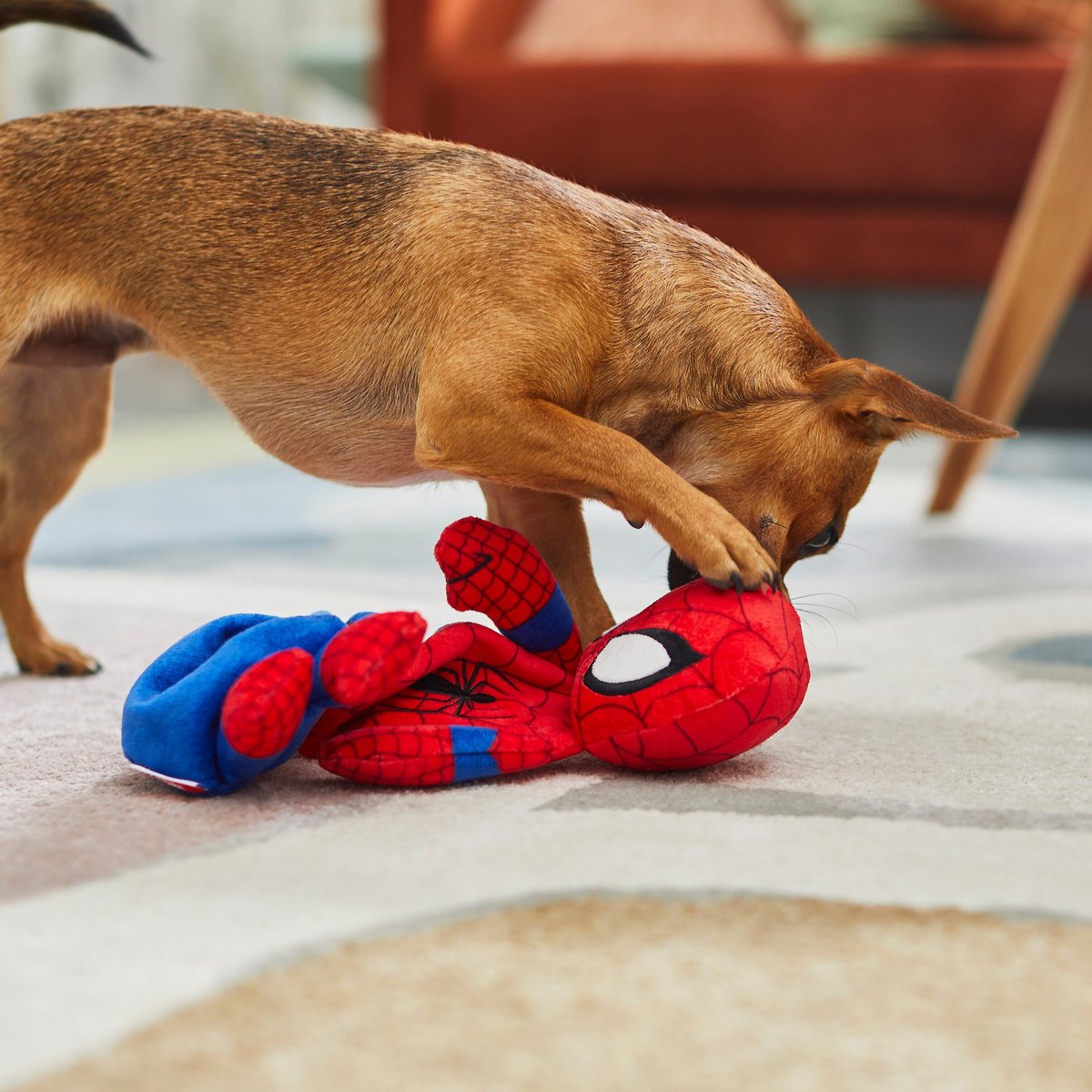 Marvel's Venom Bungee Plush Squeaky Dog Toy