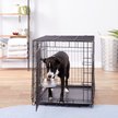 Show in main carousel: Maslow Stainless Steel Kennel Dog Bowl, 4-cup slide 4 of 6