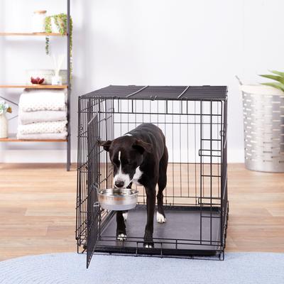 Show full view: Maslow Stainless Steel Kennel Dog Bowl, 4-cup slide 4 of 6