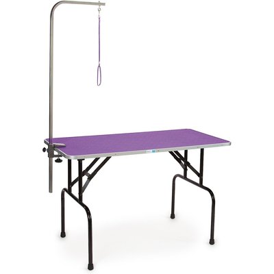 Master Equipment Master Equipment Dog Grooming Table with Arm, Purple, 48-inch