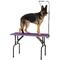 Show in main carousel: Master Equipment Dog Grooming Table with Arm, Purple, 48-inch slide 2 of 3