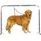 Show in main carousel: Master Equipment Overhead Dog Grooming Arm, Black slide 1 of 7
