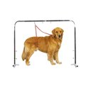 Master Equipment Overhead Dog Grooming Arm, Black