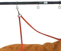 Master Equipment Overhead Dog Grooming Arm, Black slide 2 of 6
