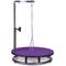 Show in main carousel: Master Equipment Small Dog & Cat Grooming Table, Purple slide 1 of 6