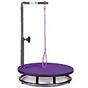 Master Equipment Small Dog & Cat Grooming Table, Purple