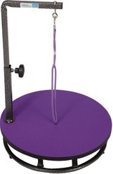 Master Equipment Small Dog & Cat Grooming Table, Purple slide 2 of 4