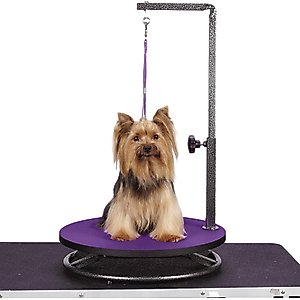 Master Equipment Small Dog & Cat Grooming Table, Purple
