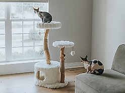 Mau Alba 43-in Modern Wooden Cat Tree & Condo, White slide 2 of 8