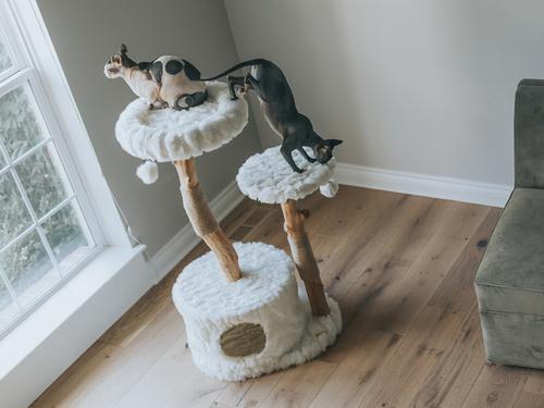 Show full view: Mau Alba 43-in Modern Wooden Cat Tree & Condo, White slide 3 of 9