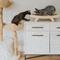 Show in main carousel: Mau Cardboard Cat Scratcher, Medium slide 4 of 8