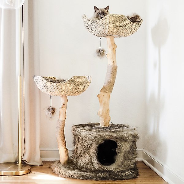 Mau Cento 46-in Modern Wooden Cat Tree & Condo
