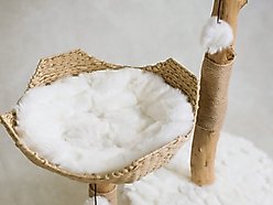 Mau Cento 46-in Modern Wooden Cat Tree & Condo, White slide 2 of 8