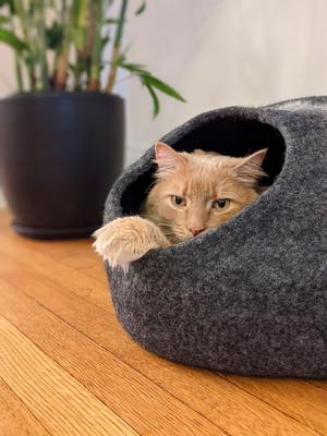 Show full view: Mau Horizon Large Wool Felt Cave Cat Bed, Dark Gray slide 6 of 7