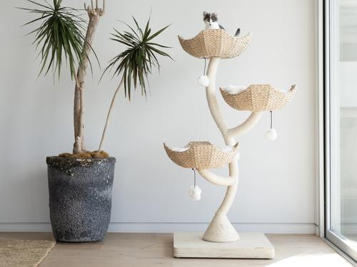 Show full view: Mau Ivy 3, 53-in Modern Cat Tree, Natural slide 3 of 10