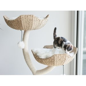 Mau Ivy 3, 53-in Modern Cat Tree, Natural