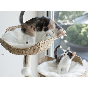 Mau Ivy 3, 53-in Modern Cat Tree, Natural