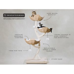 Mau Ivy 3, 53-in Modern Cat Tree, Natural