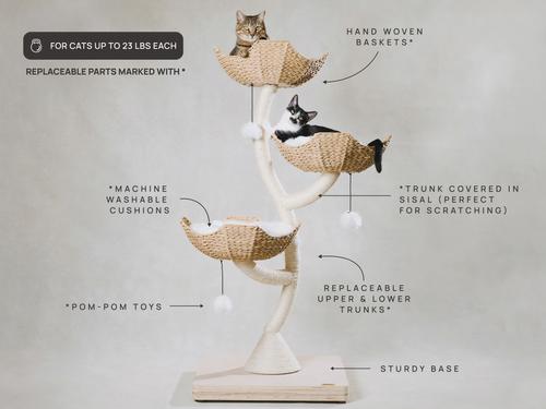 Show full view: Mau Ivy 3, 53-in Modern Cat Tree, Natural slide 7 of 10