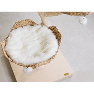 Mau Ivy 3, 53-in Modern Cat Tree, Natural