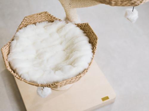 Show full view: Mau Ivy 3, 53-in Modern Cat Tree, Natural slide 8 of 10