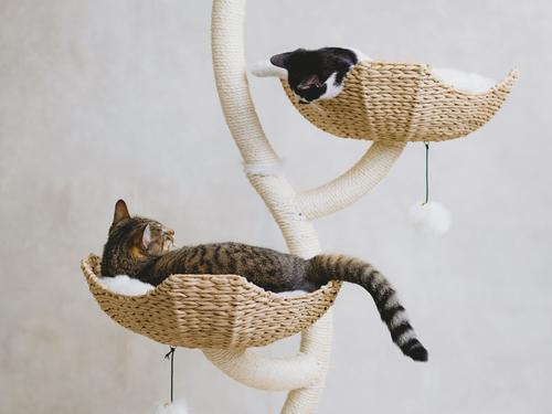 Show full view: Mau Ivy Cat Tree, Large, White slide 4 of 8