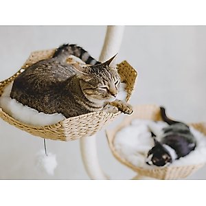 Mau Ivy Cat Tree, Large, White