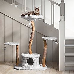 Mau Leone 50-in Modern Wooden Cat Tree & Condo, White