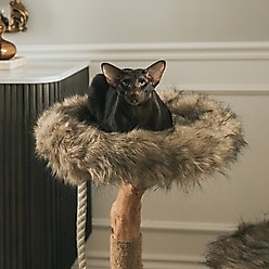 Mau Rizzo 32-in Modern Wooden Cat Tree, Brown slide 2 of 5
