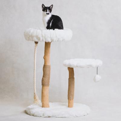 Mau Rizzo 32-in Modern Wooden Cat Tree