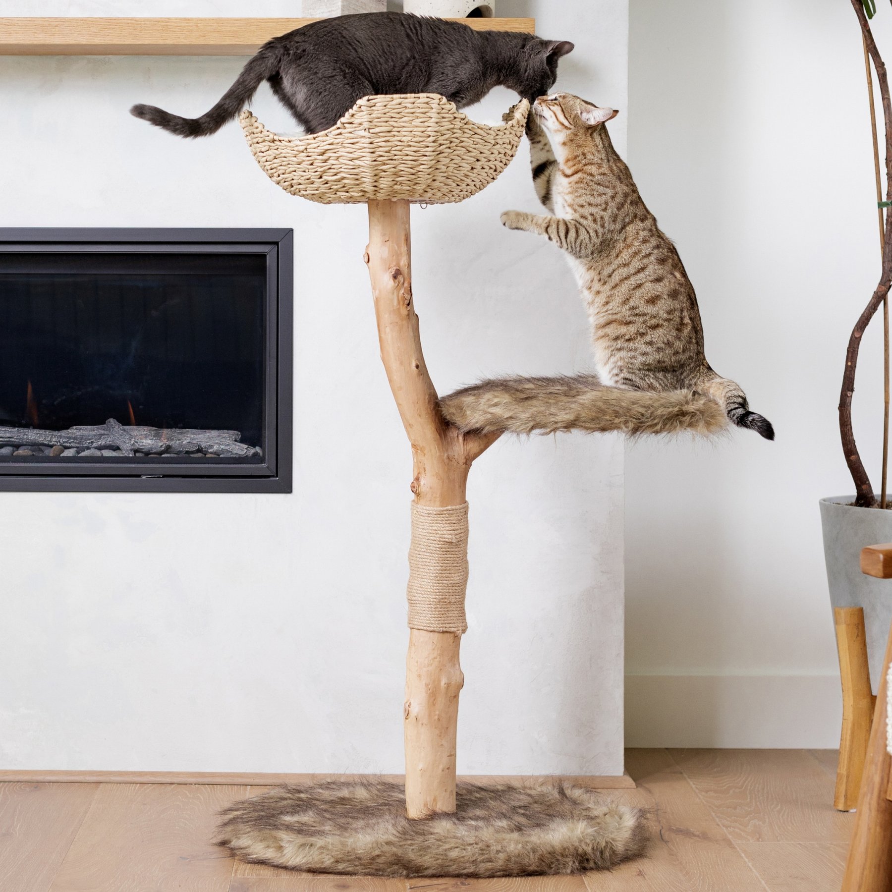 Mau Uni 41-in Faux Fur Basket Bed Cat Tree, Brown