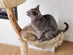 Mau Uni 41-in Faux Fur Basket Bed Cat Tree, Brown slide 2 of 8