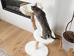 Mau Uni 41-in Faux Fur Basket Bed Cat Tree, White slide 2 of 9