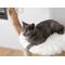 Show in main carousel: Mau Uni 41-in Faux Fur Basket Bed Cat Tree, White slide 3 of 10