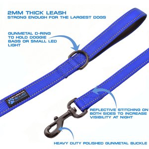 Max and Neo Dog Gear Nylon Reflective Double Dog Leash, Blue, 6-ft long, 1-in wide