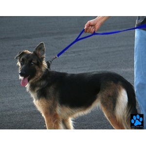 Max and Neo Dog Gear Nylon Reflective Double Dog Leash, Blue, 6-ft long, 1-in wide