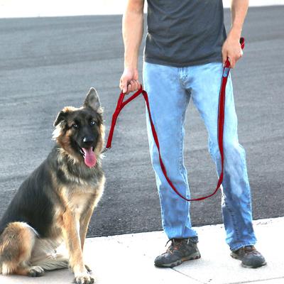 Show full view: Max and Neo Dog Gear Nylon Reflective Double Dog Leash, Red, 6-ft long, 1-in wide slide 4 of 10