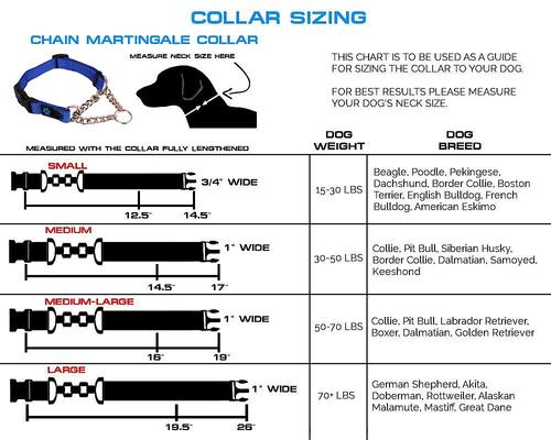 Show full view: Max and Neo Dog Gear Nylon Reflective Martingale Dog Collar with Chain, Blue, Small: 13 to 16-in neck, 1-in wide slide 5 of 7