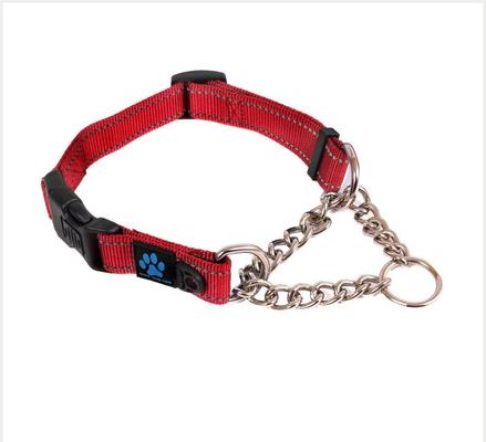 MAX AND NEO DOG GEAR Nylon Reflective Martingale Dog Collar with