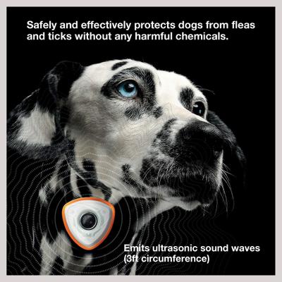 Show full view: Max & Molly Soundshield 24/7 UltraSonic Tick & Flea Repeller Dog Tag, Orange slide 4 of 10