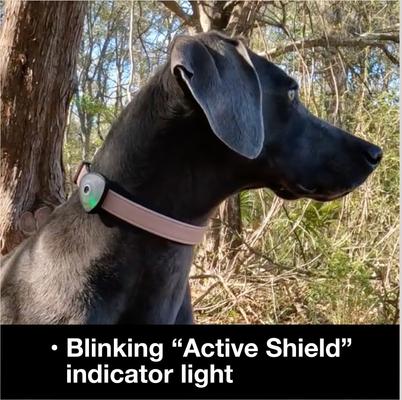 Show full view: Max & Molly Soundshield 24/7 UltraSonic Tick & Flea Repeller Dog Tag, Orange slide 8 of 10